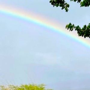 Meet your Posher, Jillian